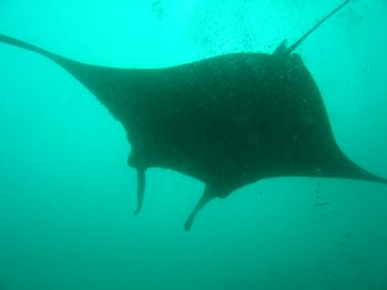 Using Canon A80 digital in the Maldives (July 2004) by Glynnan Barham 